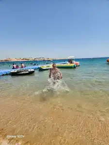 Falcon Naama Star - 59