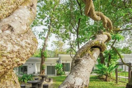Whalecome Aonang Resort-SHA Extra Plus - 4