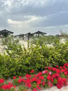 Le Royal Méridien Beach Resort & Spa - 21