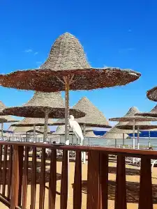 Parrotel Beach Resort - 3