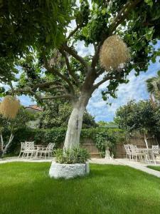 Alican Izba House - 17
