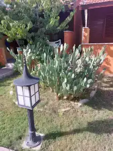 Ozlem Garden - All Inclusive - 20