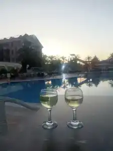 Fun&Sun Smart Hane Sun - 43