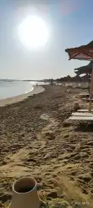 Jaz Makadi Saraya Palms - 55