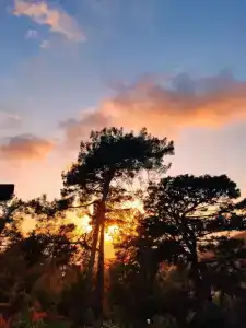 Garcia Resort & Spa - Ultra All Inclusive - 76