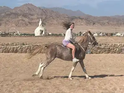 Dahab Lagoon Club & Resort Ex Tirana Dahab - 14