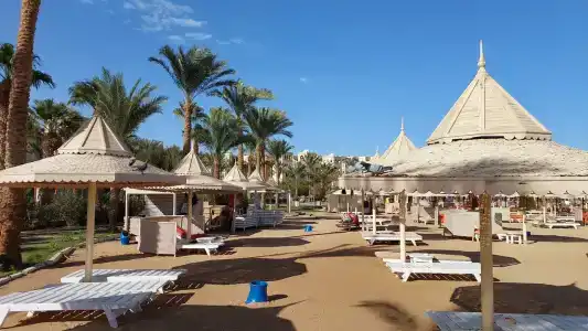 The Grand Resort - 100