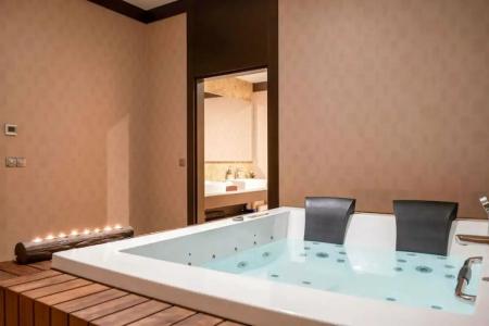 Clarion Istanbul Mahmutbey - 59