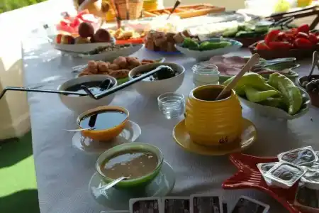 Caretta Caretta - 41