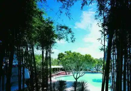Grand Hyatt Erawan Bangkok - 13