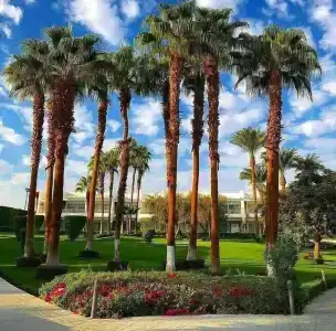 Monte Carlo Sharm Resort & Spa - 2