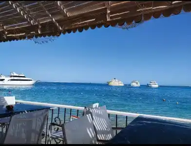 Marlin Inn Azur Resort - 77