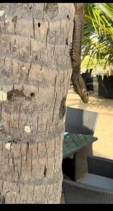 JW Marriott Khao Lak Resort and Spa - 71