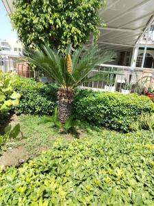 Halıcı Marmaris - 54