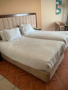 Ivy Cyrene Sharm Resort Adults Friendly Plus 13 - 74