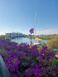 Bosphorus Sorgun - 81