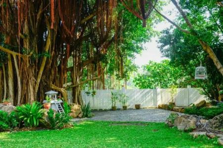 Banyan House Samui bed and breakfast (Adult Only) - 34