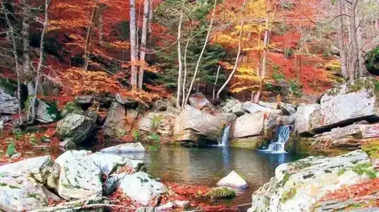 FORM TERMAL & SPA KAZDAĞLARI - 48