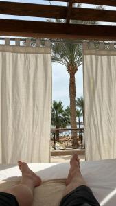 Iberotel Palace - Adults Friendly 16 Years Plus - 52