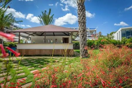 Zafiro Palace Palmanova - 99