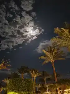 Jaz Mirabel Resort - 58