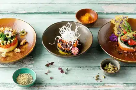 ROBINSON CAMYUVA - Adults only - 82