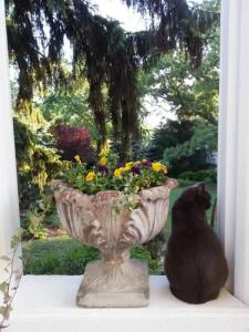 Albemarle Inn - Asheville - 12