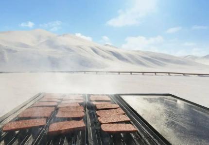 Polat Palandöken - 47