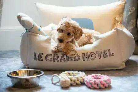 The St. Regis Rome - 13