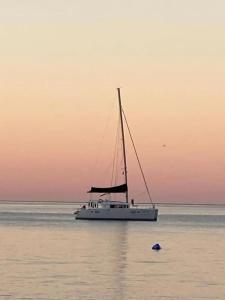 Boutique Vissi d'Arte - 15