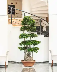 Dalya Resort Aqua & Spa Datca - 13