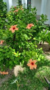 Veranda Palmar Beach & Spa - All Inclusive - 44