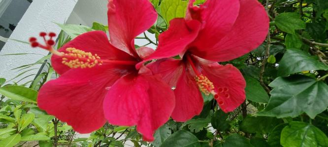 Veranda Palmar Beach & Spa - All Inclusive - 96