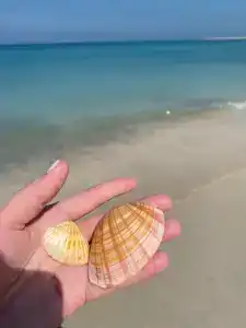 Al Hamra Residence - 57