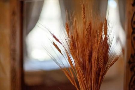 Peace Stone House - 53