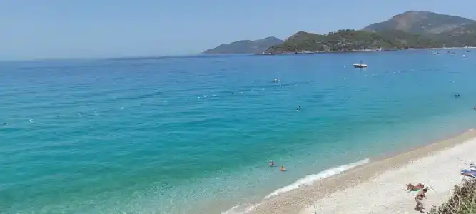 Beyaz Yunus - Adult Only - 2