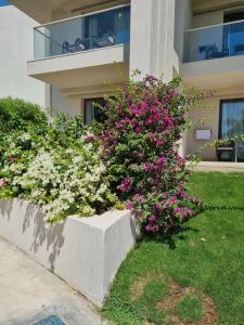 Rixos Premium Magawish Suites and Villas- Ultra All-Inclusive - 35