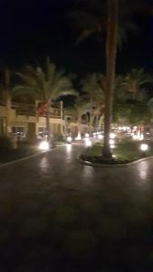 Palm Beach Resort Families and Couples only - 48