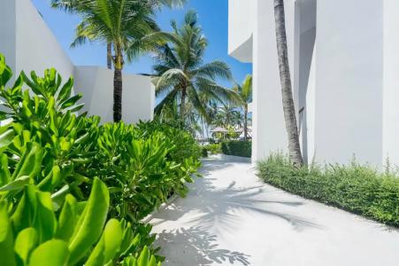 La Vida Samui - 7