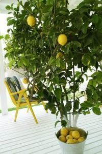 Vintage Alacati - 34