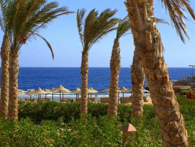 Viva Blue Resort and Diving Sharm El Naga (Adults Only) - 16