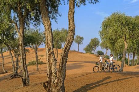 The Ritz-Carlton Ras Al Khaimah, Al Wadi Desert - 73