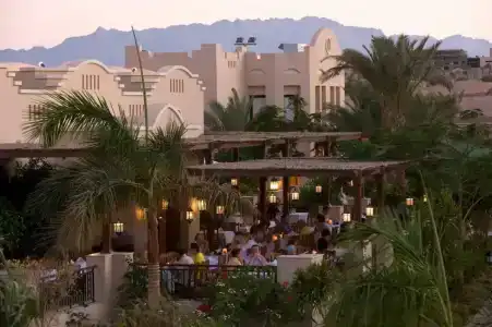 Jaz Makadi Star & Spa - 66