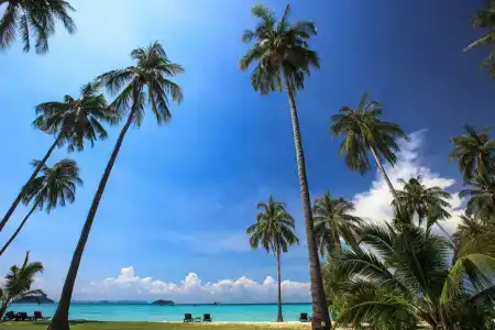 SAii Phi Phi Island Village - 96