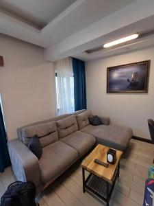 GOLAZ SUIT OTEL - 43