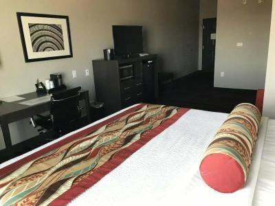 Best Western Plus Tech Medical Center Inn - 18