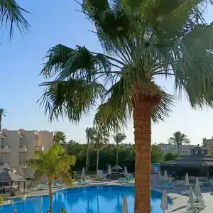 Ivy Cyrene Sharm Resort Adults Friendly Plus 13 - 85