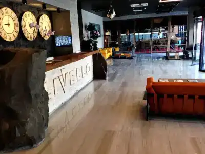 Livello