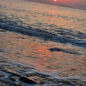 Crystal Prestige Elite - 51