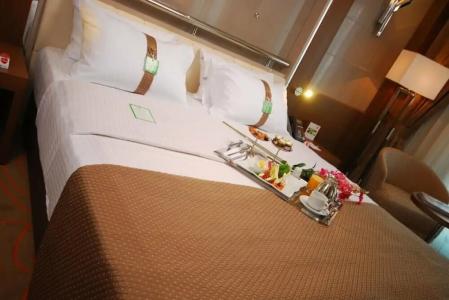 Holiday Inn Ankara-Kavaklidere, an IHG - 82